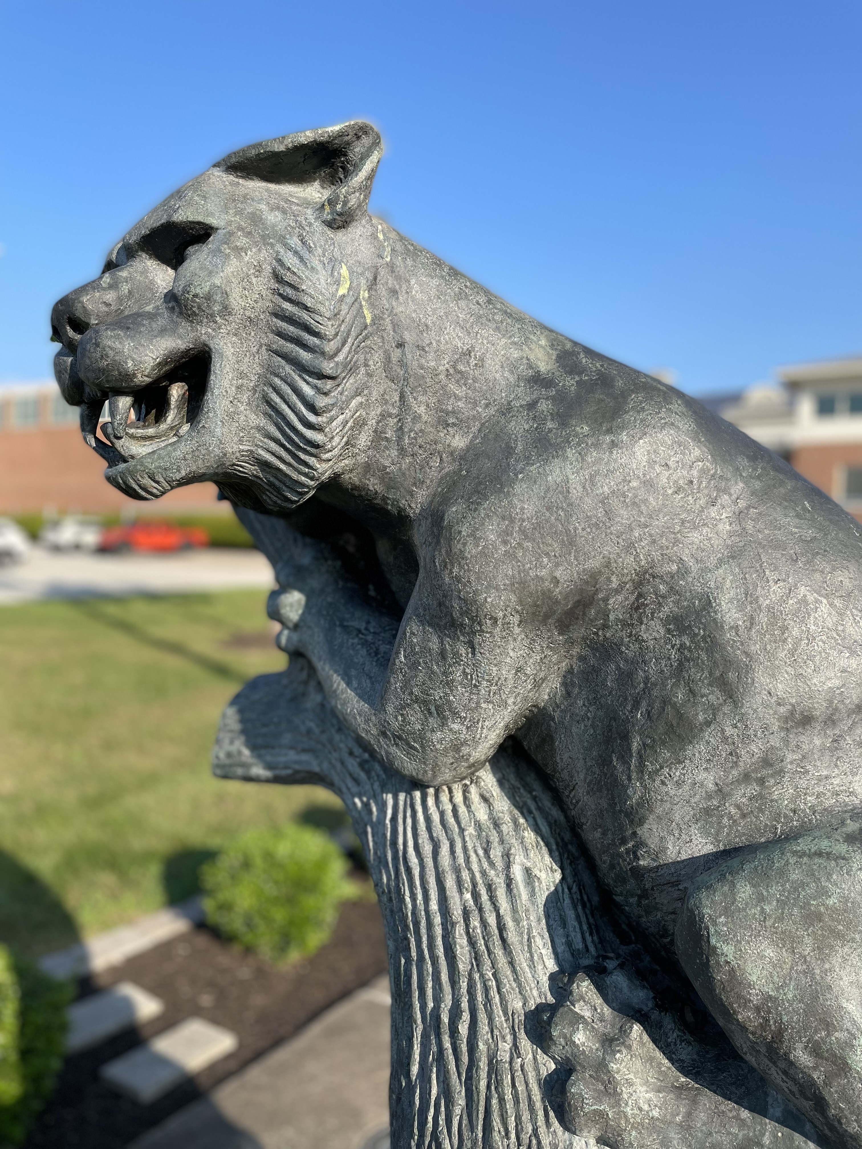 wildcatstatue